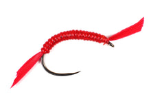 Load image into Gallery viewer, Bloodworm Selection