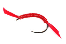 Load image into Gallery viewer, Polish Bloodworm