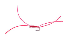 Load image into Gallery viewer, Apps Bloodworm