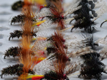 Load image into Gallery viewer, Yorkshire Dry Selection