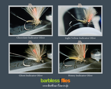 Load image into Gallery viewer, Bosnian Indicator Olives