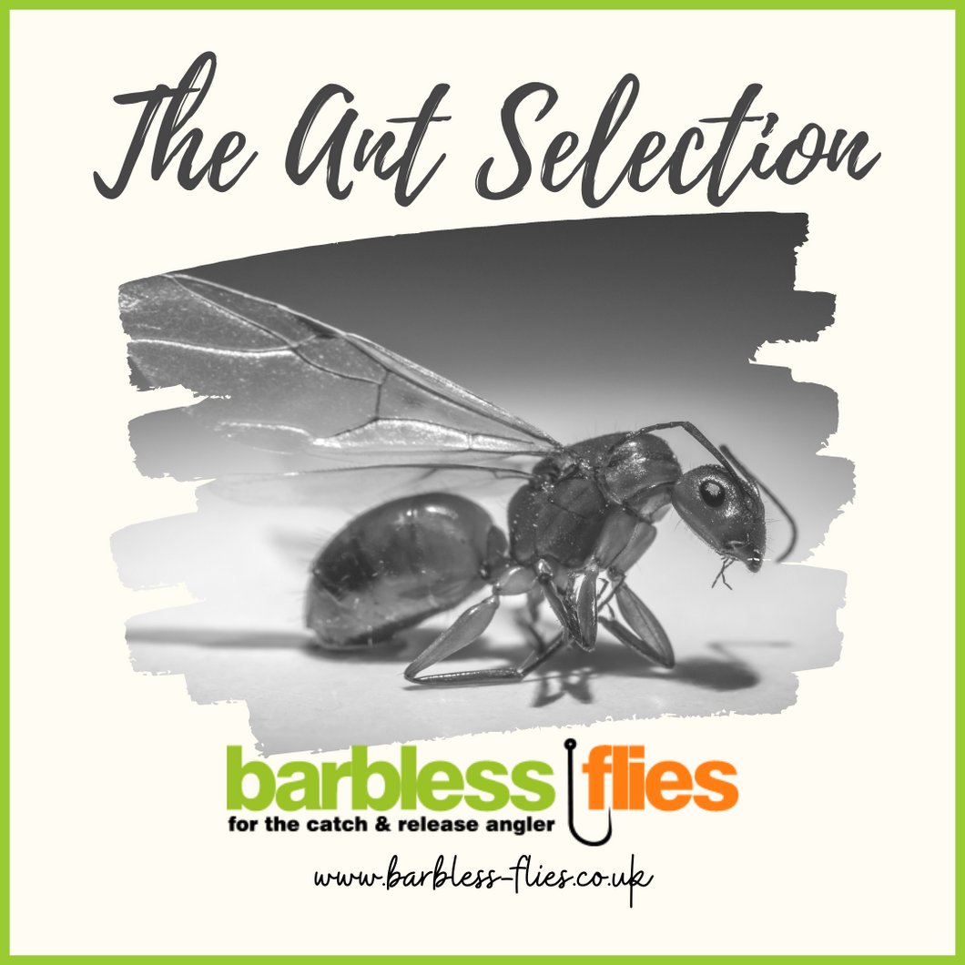 Ant Selection