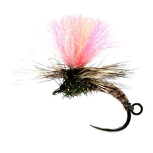 Load image into Gallery viewer, Indicator Dinkhamer