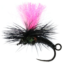 Load image into Gallery viewer, Black Dinkhamer