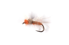 Load image into Gallery viewer, Agapetus