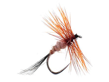 Load image into Gallery viewer, Baby Sun Fly