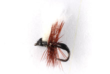 Load image into Gallery viewer, Black CdC Ant