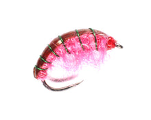 Load image into Gallery viewer, Disco Shrimp
