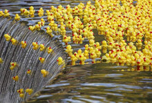 Load image into Gallery viewer, Rubber Duck Gel Fly Floatant