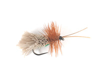 Load image into Gallery viewer, Goddard's Sedge - Green