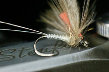 Load image into Gallery viewer, Bosnian Indicator Olives