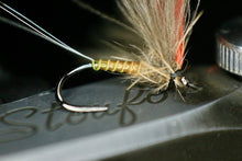 Load image into Gallery viewer, Bosnian Indicator Olives