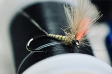 Load image into Gallery viewer, Bosnian Indicator Olives