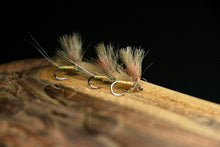 Load image into Gallery viewer, Bosnian Indicator Olives