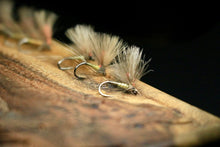 Load image into Gallery viewer, Bosnian Indicator Olives