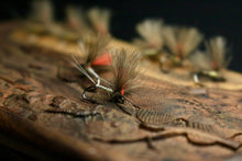 Load image into Gallery viewer, Bosnian Indicator Olives