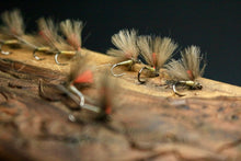 Load image into Gallery viewer, Bosnian Indicator Olives