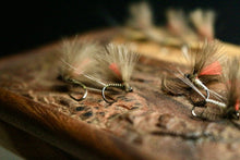 Load image into Gallery viewer, Bosnian Indicator Olives