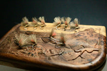 Load image into Gallery viewer, Bosnian Indicator Olives