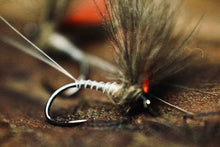 Load image into Gallery viewer, Bosnian Indicator Olives