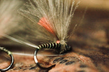 Load image into Gallery viewer, Bosnian Indicator Olives