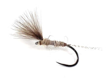 Load image into Gallery viewer, JT Olive