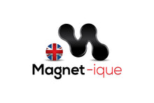 Load image into Gallery viewer, The MagMicro