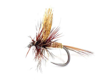 Load image into Gallery viewer, March Brown