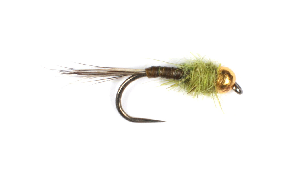 Olive Quill Tungsten Nymph