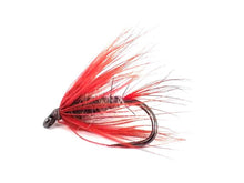 Load image into Gallery viewer, Paragon