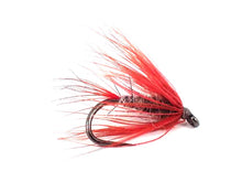 Load image into Gallery viewer, Paragon