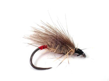 Load image into Gallery viewer, Red-Butt CdC