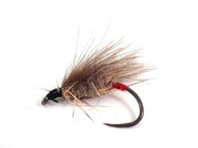 Load image into Gallery viewer, Red-Butt CdC