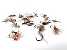 Load image into Gallery viewer, Late Season Selection