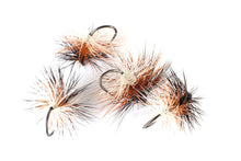 Load image into Gallery viewer, Tri-Colour Caddis (Tricolore) Selection