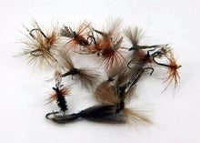 Load image into Gallery viewer, Specialist Dry Selection