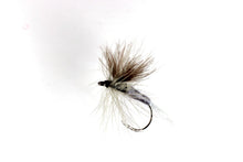 Load image into Gallery viewer, Grey CdC Wulff