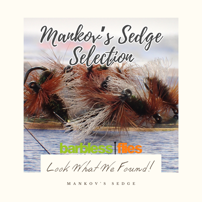 A Specialist Sedge from the Bulgarian Fish Whisperer