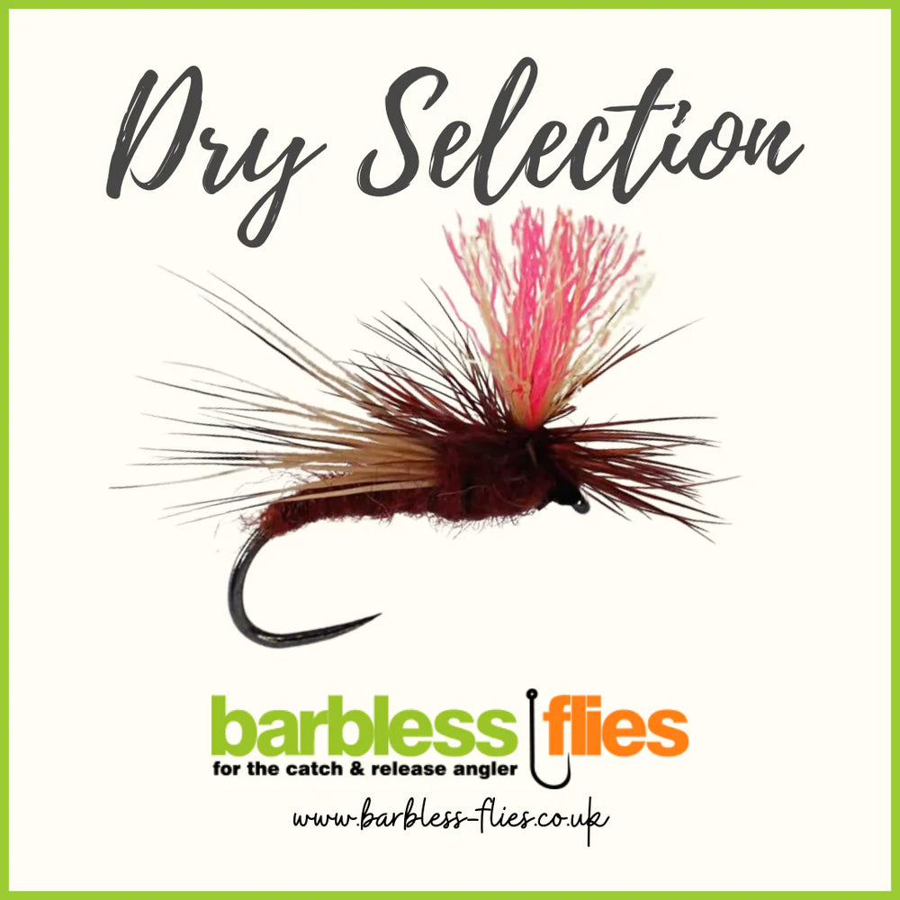 Dry Selection - Updated for 2022