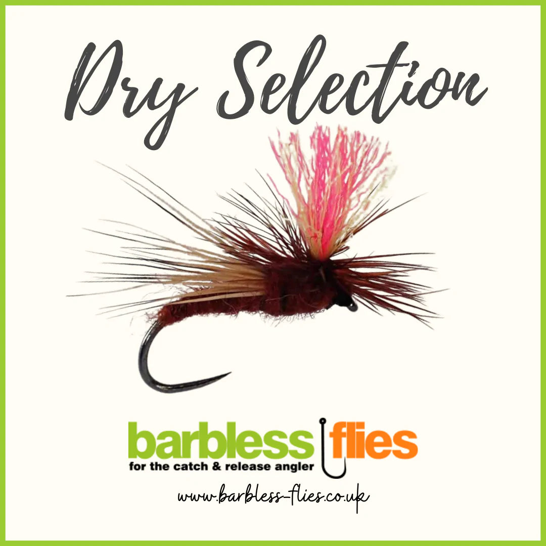 Dry Selection - Updated for 2022