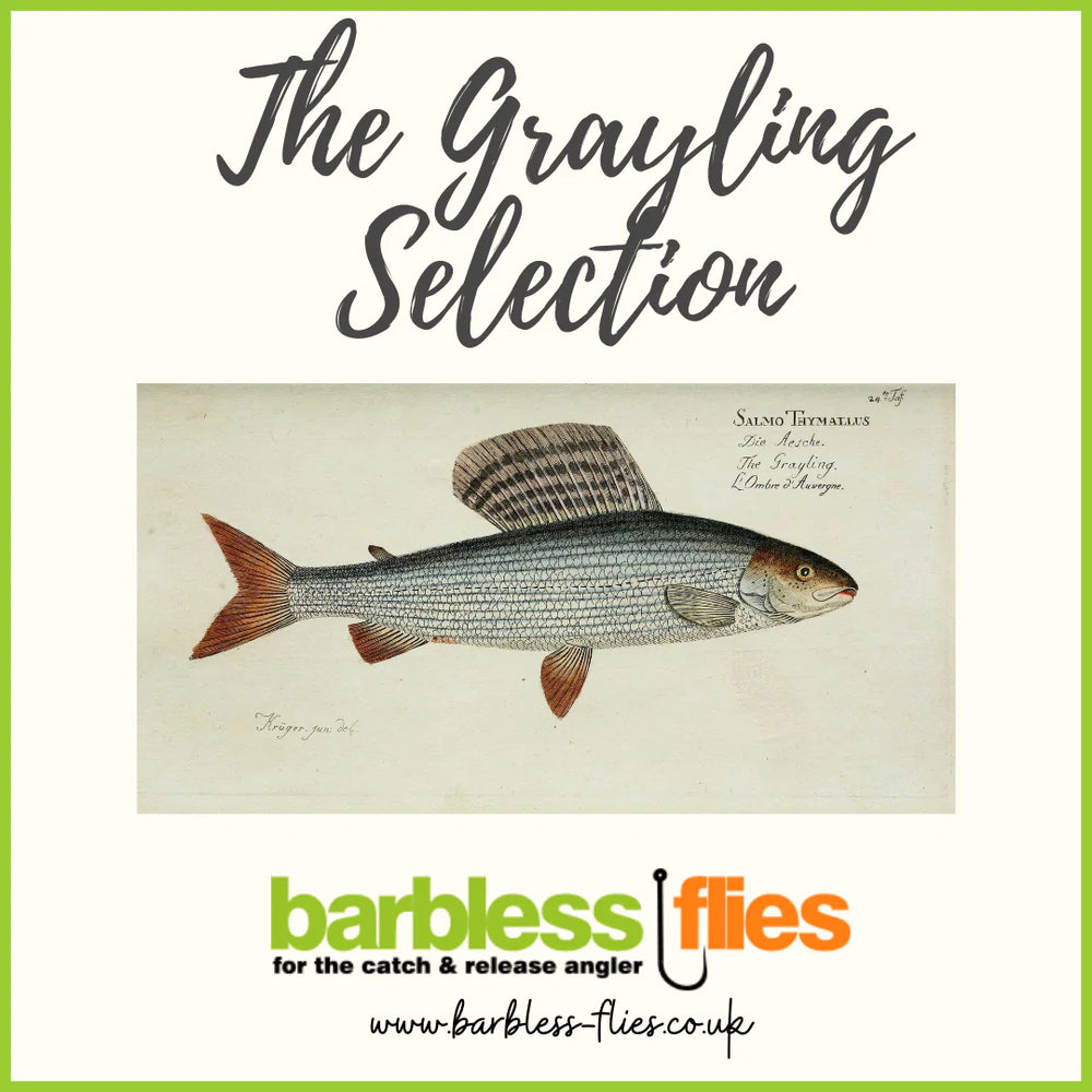 Grayling Selection - Updated for 2022