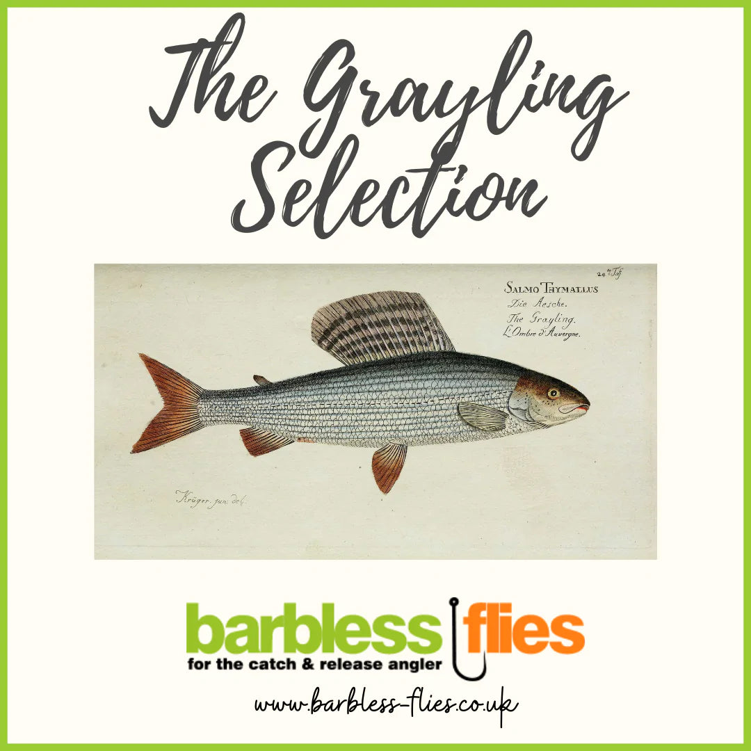 Grayling Selection - Updated for 2022