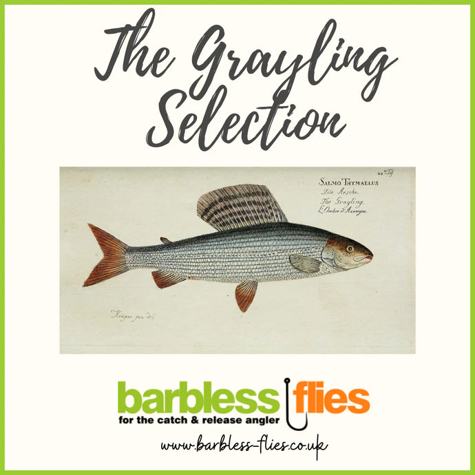 Grayling Selection - Updated for 2022