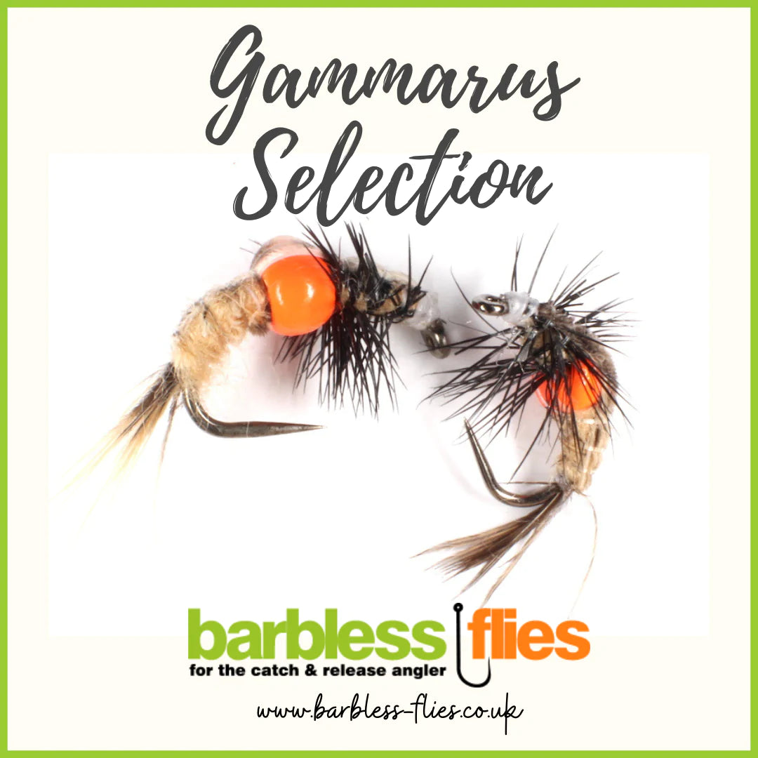 Gammarus Selection | Pimped Shrimps