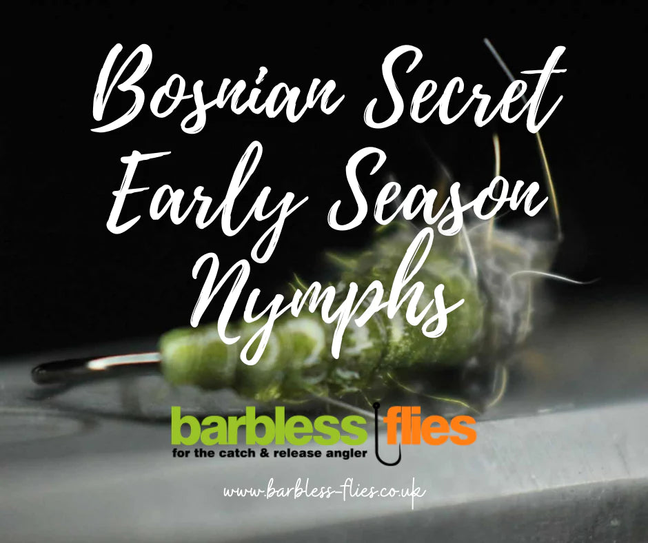 Bosnian Secret Early Season Nymphs