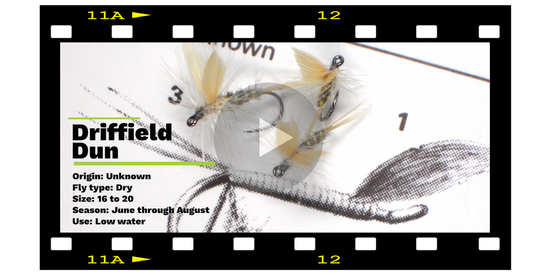 The Driffield Dun - A fly from the Northern Chalk