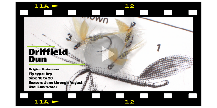 The Driffield Dun - A fly from the Northern Chalk