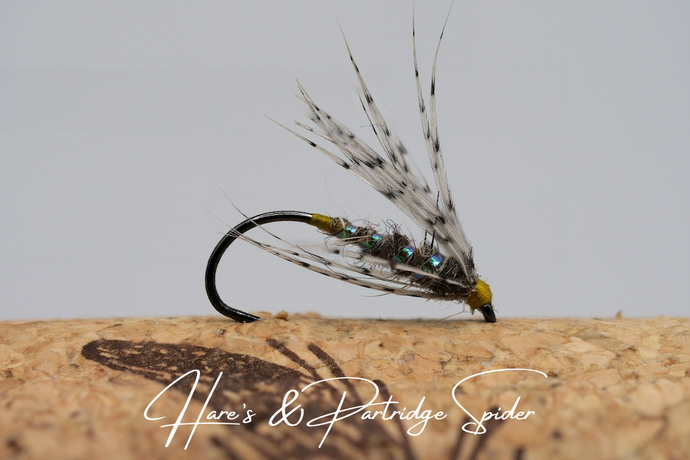 Spider Fishing - A Primer