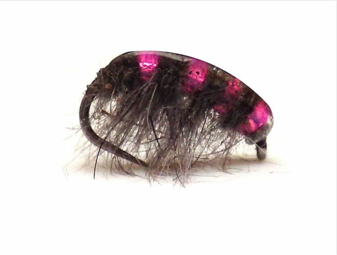 Updated Scuds - Grayling Colours