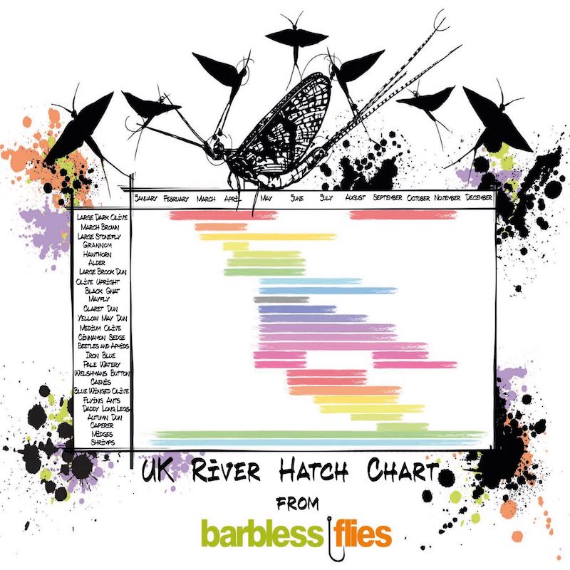 UK River Fly Hatch Chart - by Ryan Keene – Barbless Flies